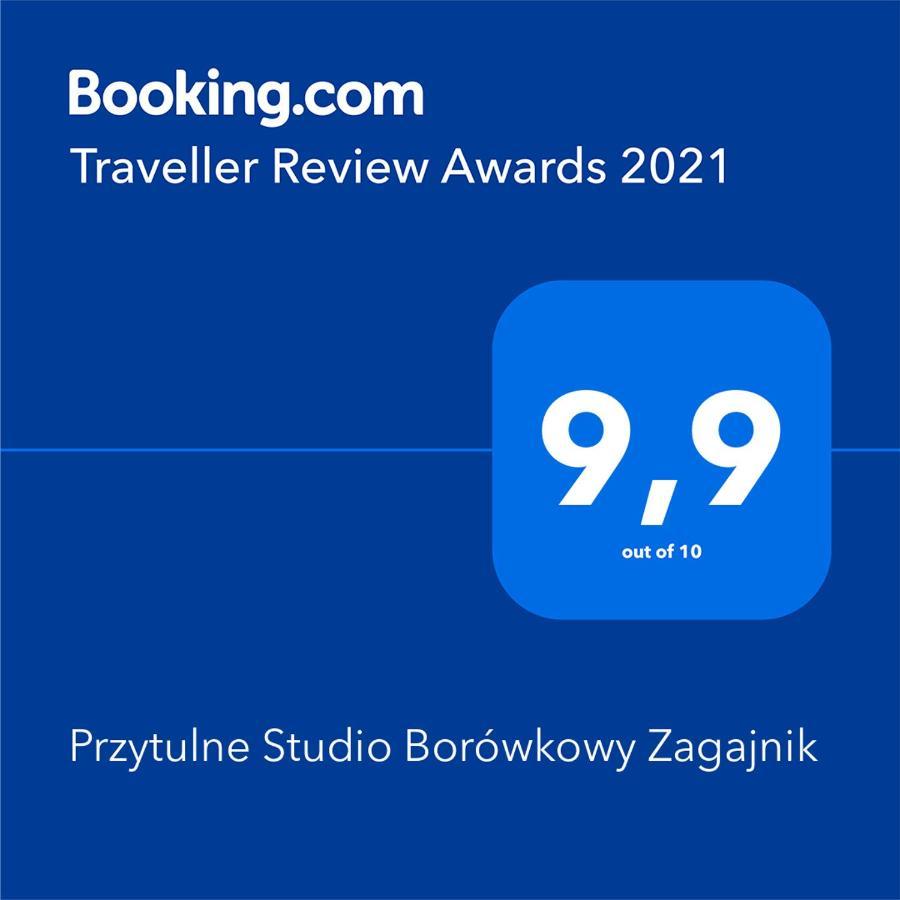 Przytulne Studio Borowkowy Zagajnik Piechowice  Eksteriør billede